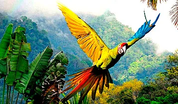Costa Rica 357X210
